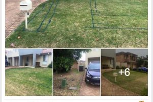 glenmore-park-front-yard-transformation-facebook-testimonial